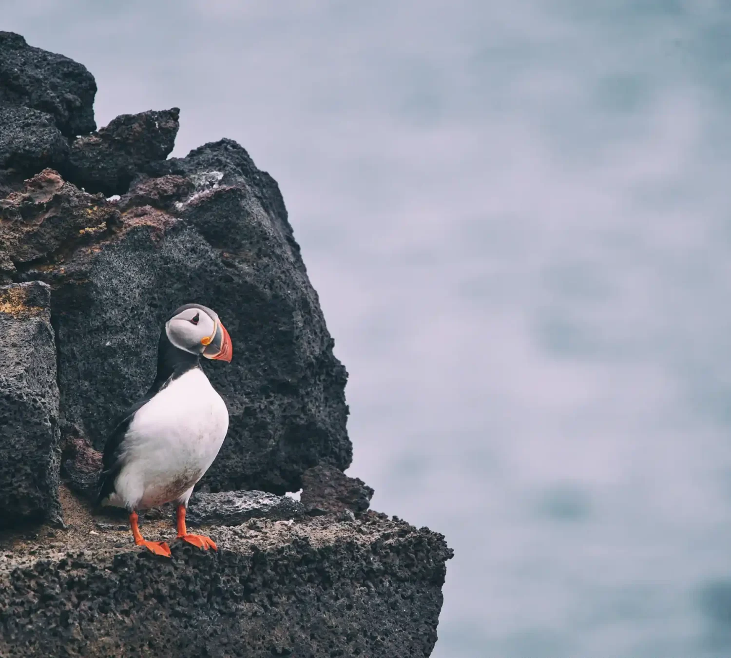 jonatan-pie-OagAyc1Eh10-unsplash