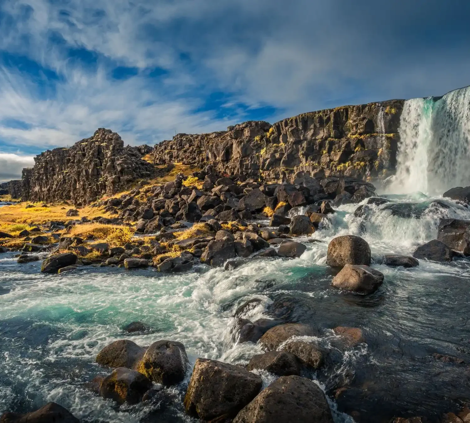 shutterstock_1269559195