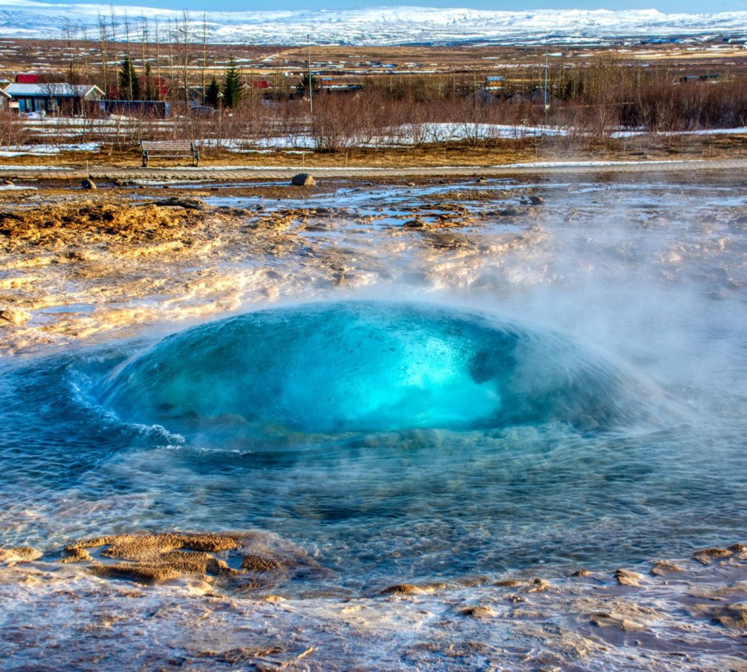 shutterstock_1618130080