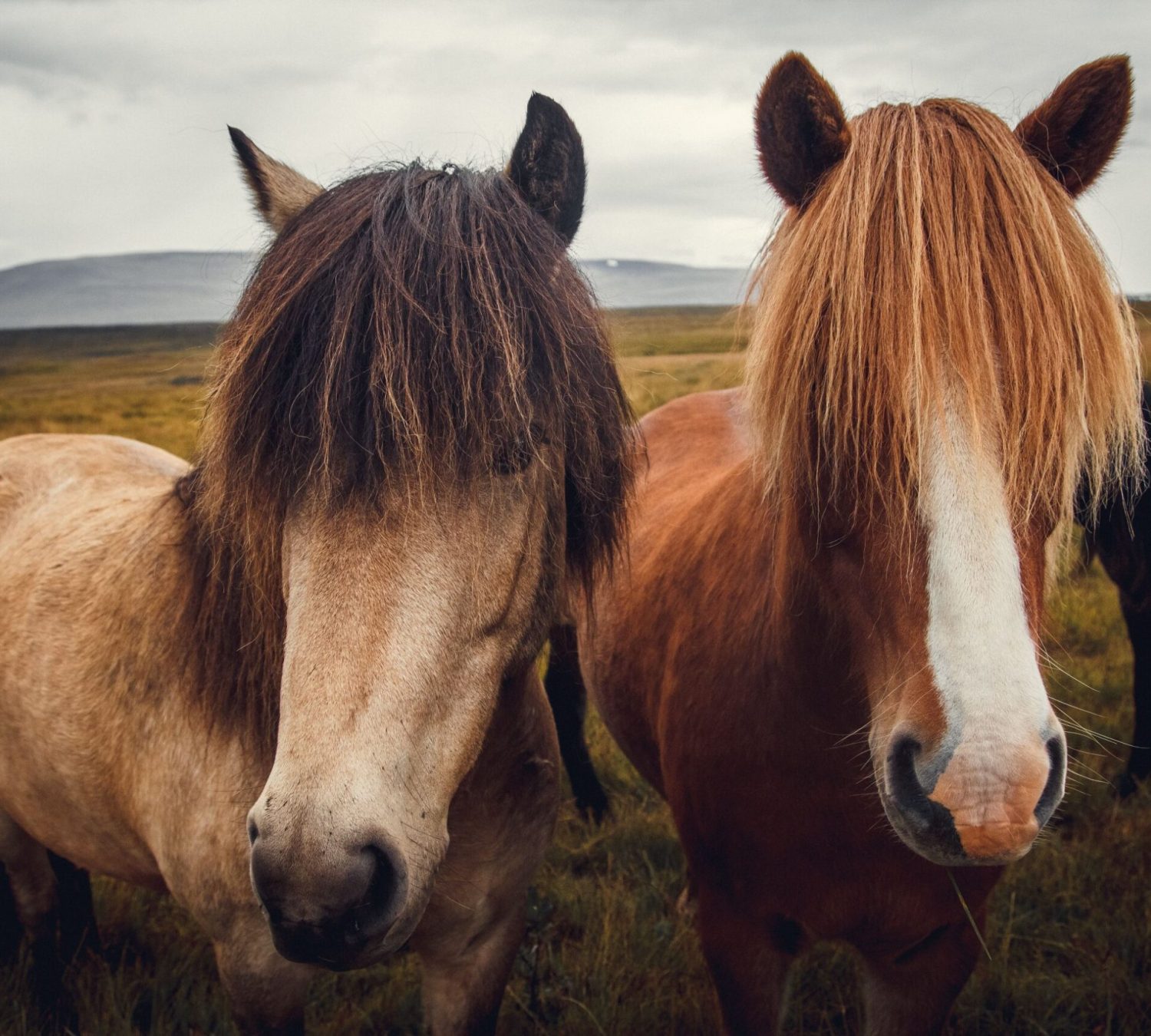 shutterstock_1637523502-min