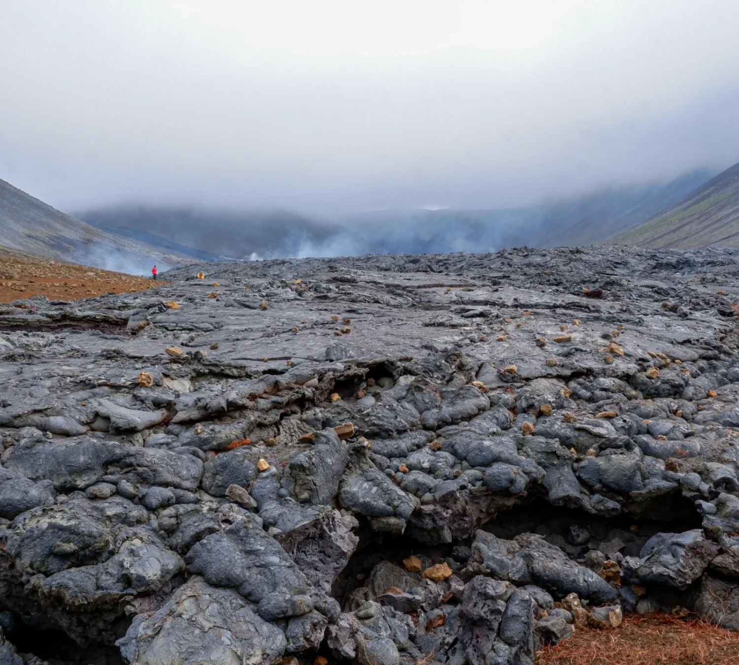 shutterstock_2032094090