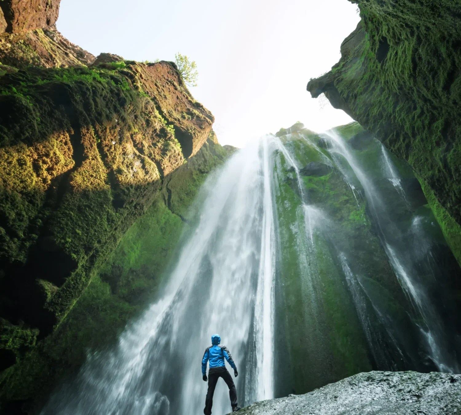 shutterstock_2033277542