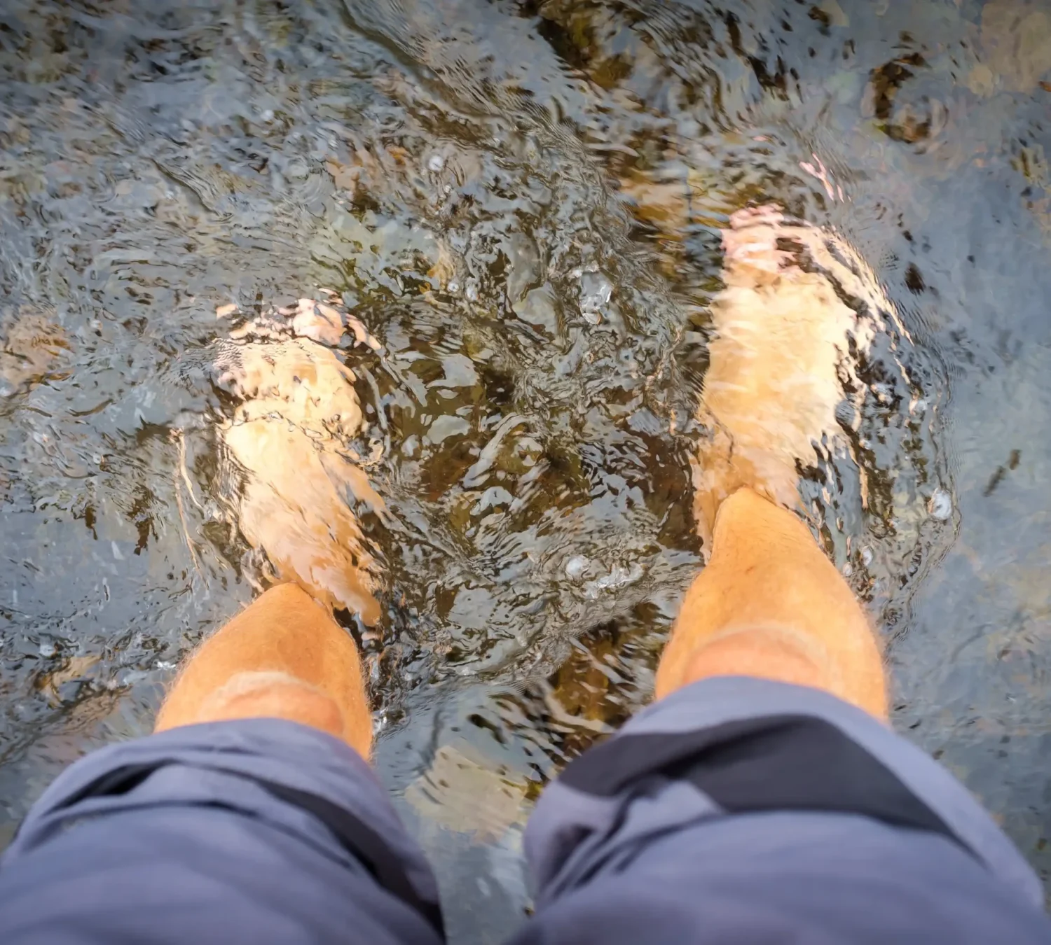 shutterstock_2150947601