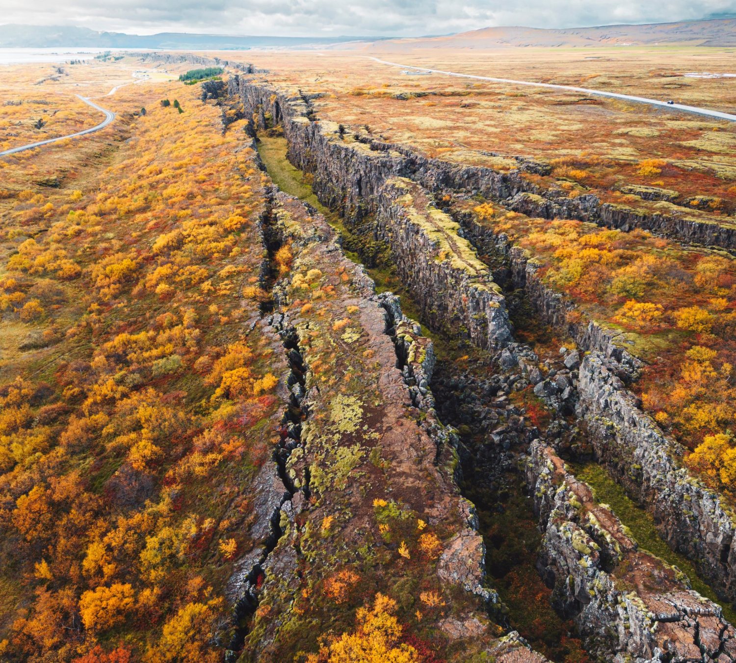 shutterstock_2238591291