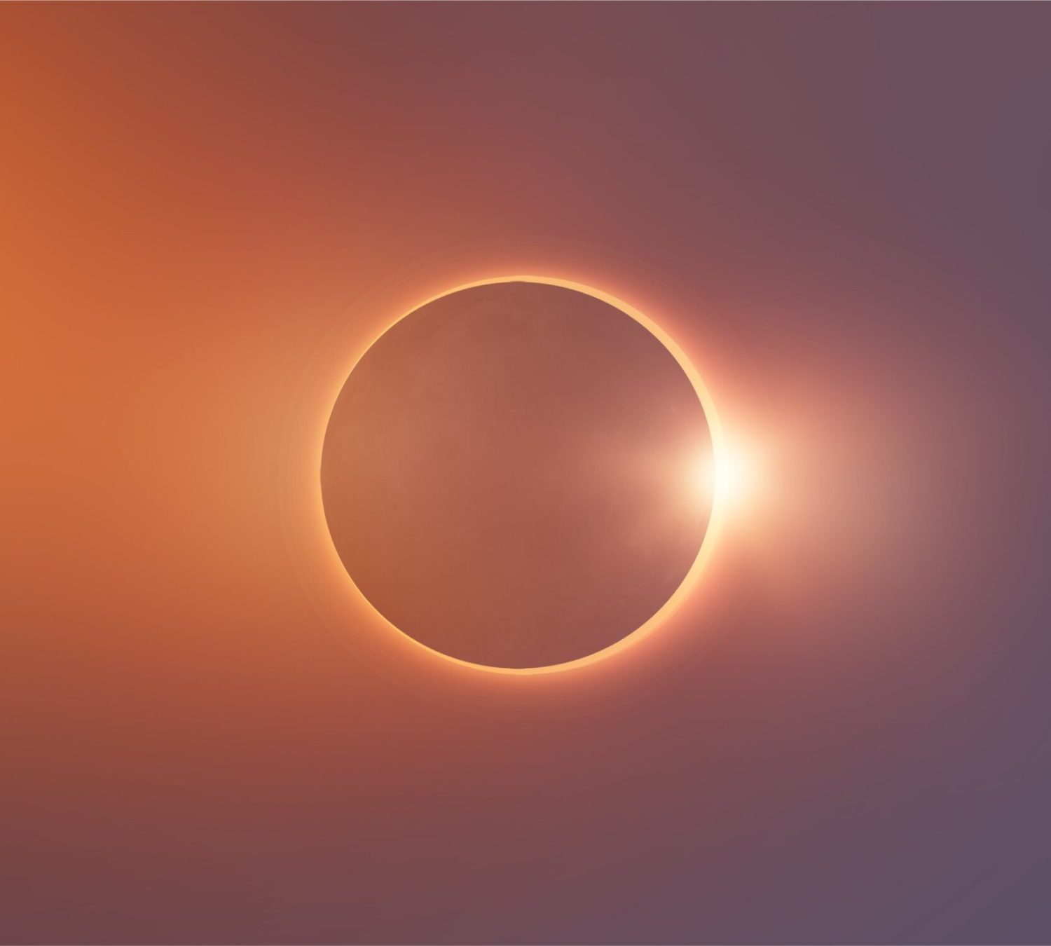 shutterstock_2371699681