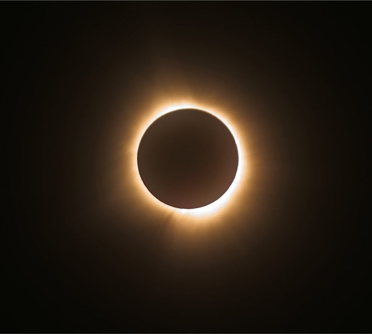 shutterstock_2449423429