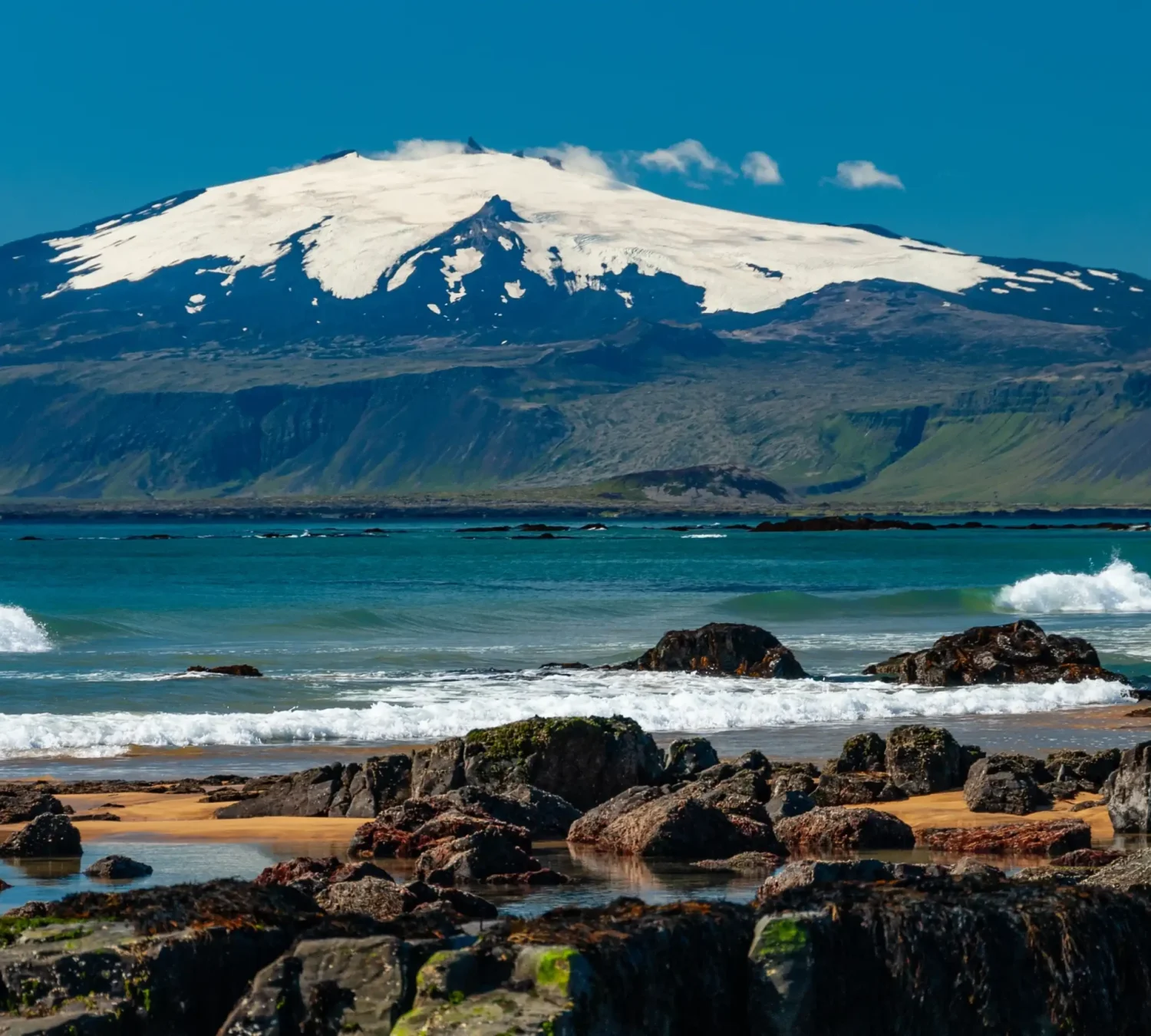 shutterstock_2525877385