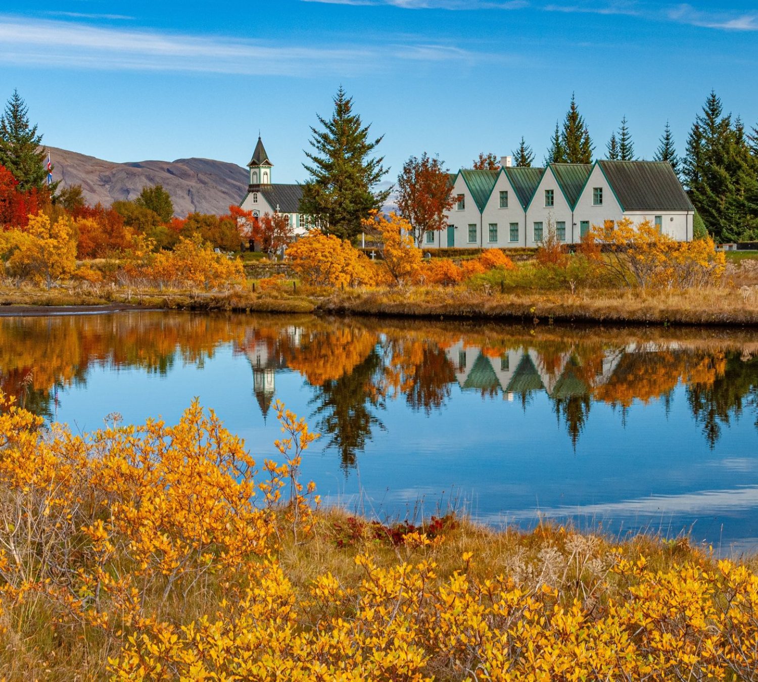 shutterstock_2546751827