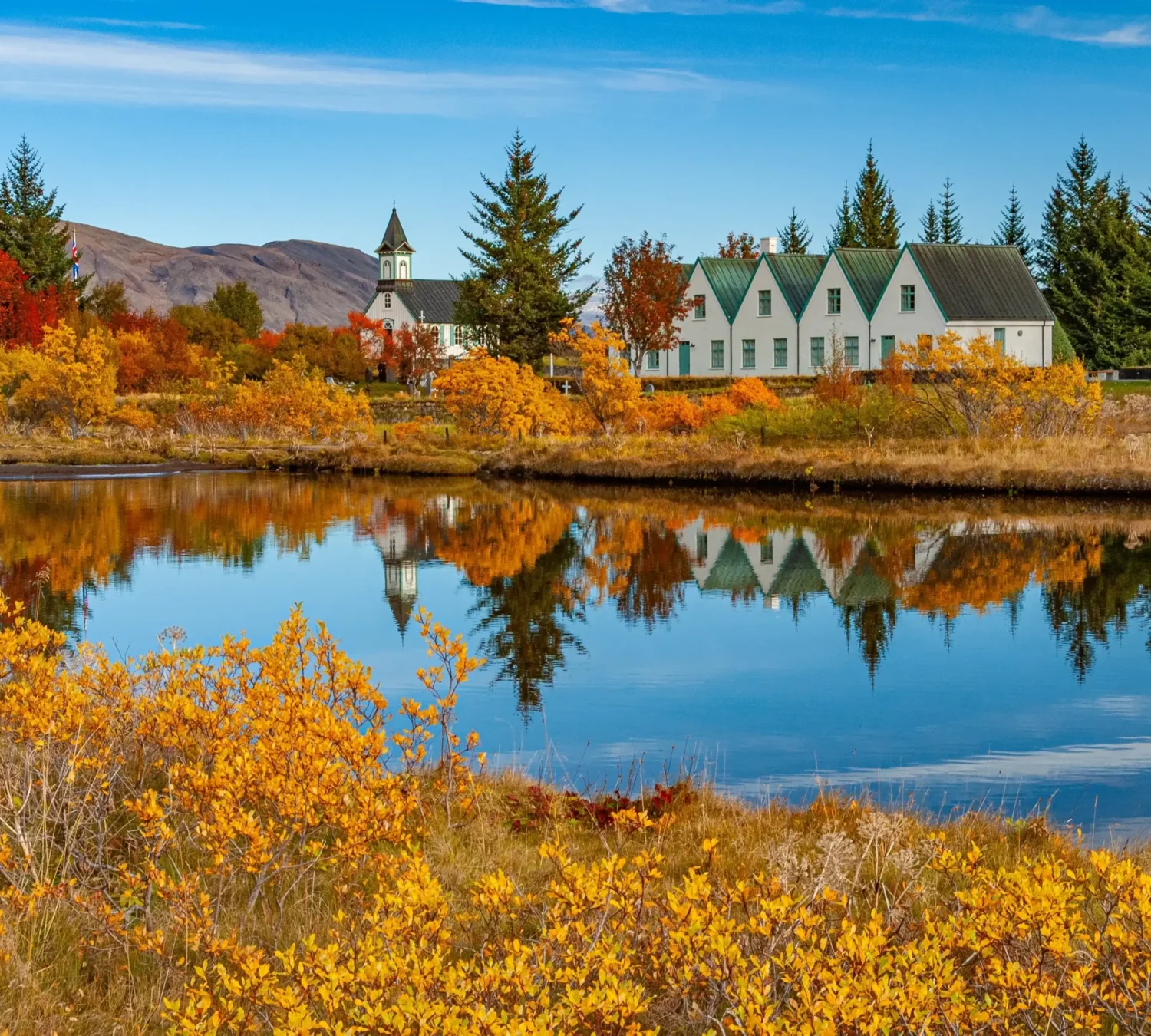 shutterstock_2546751827