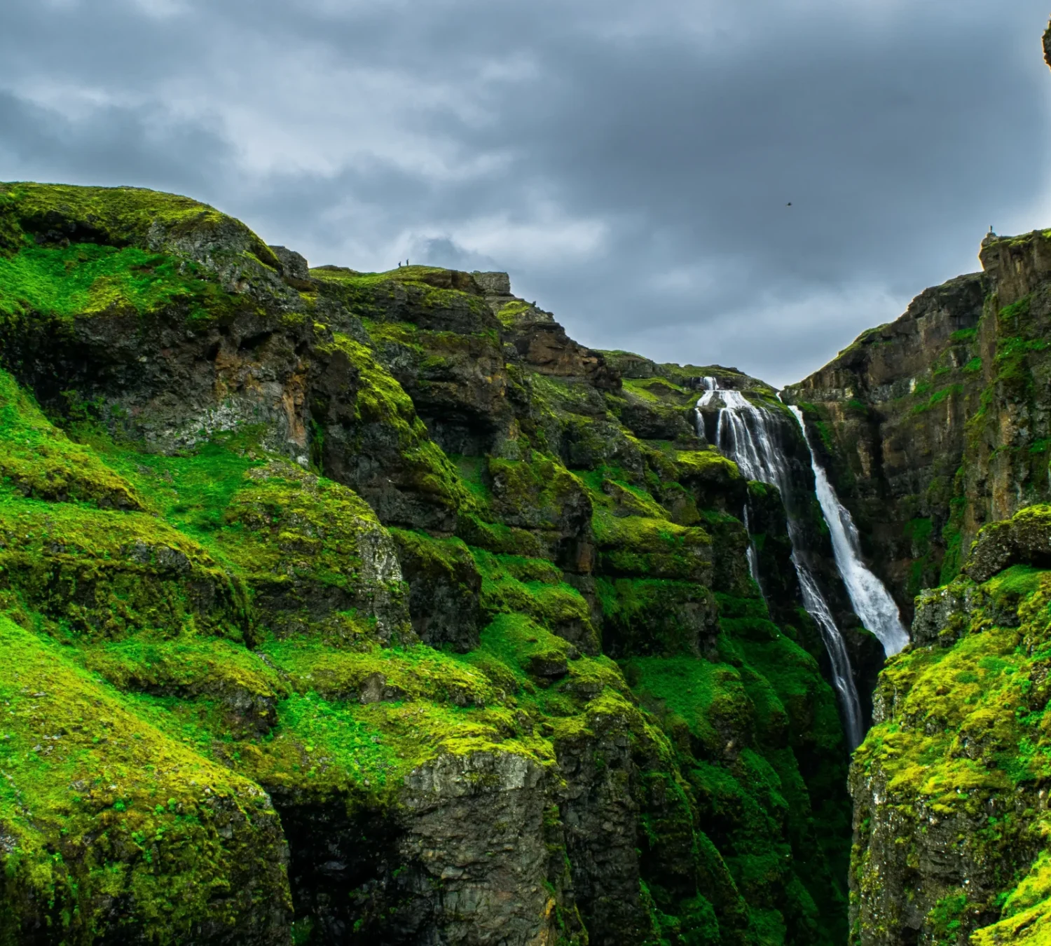 shutterstock_685457098