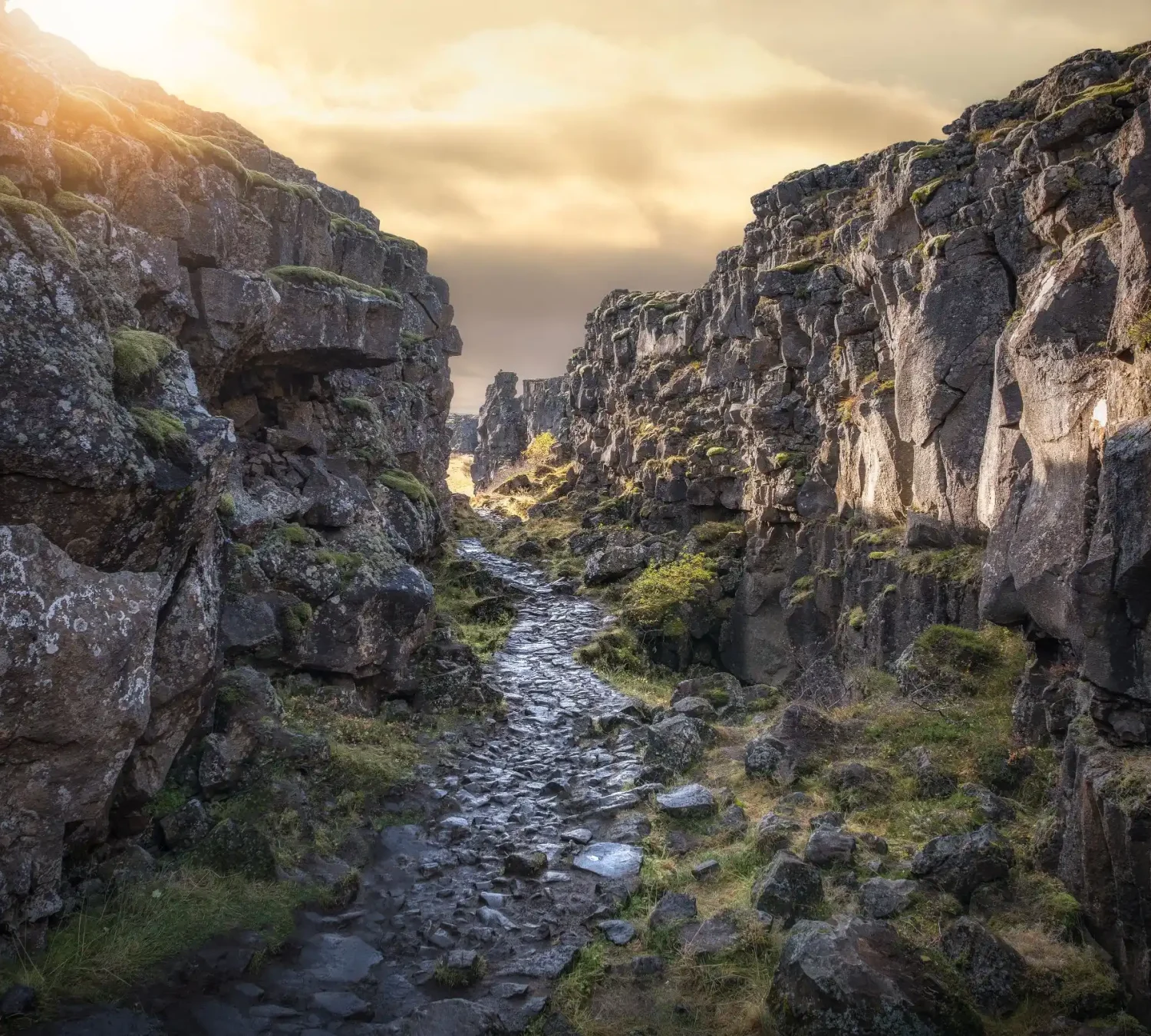 shutterstock_794839708